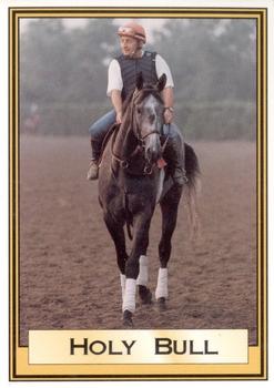 1995 Horse Star Holy Bull #3 Holy Bull Front